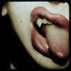 *{carnivora}*