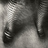 Spiral