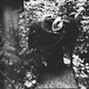 Untitled In The Woods With Chair & Mask