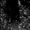 Untitled In The Woods