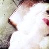 A Wolf is no Angel
