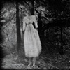 In The Forest