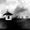 Rooftop Crows
