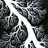 BLACK VEINS
