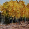 Aspen Towers