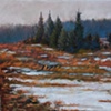 'Pine Plantation'