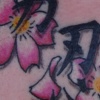 Kanji Flowers
