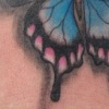 Butterfly Foot