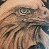 Eagle with Flag
