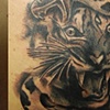 Scorpion Coverup