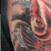 koi coverup