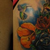 Rose Coverup