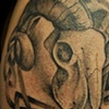 Ram skull knotwork