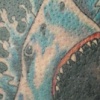 Shark Diver