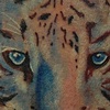 Snow Tiger