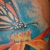 Butterfly and Flower