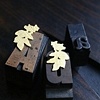 Creeping Leaf Stud Earrings...
