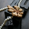Sweet Horse Chestnut Carved Necklace