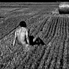 hay