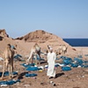 egypt