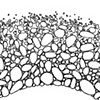 INK DRAWINGS; STICKS AND STONES