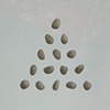 Paintings 2011-2012