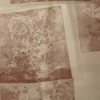 Cult of Domesticity: 2 (seed side)