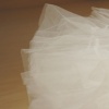 Neck Line (close-up)