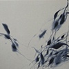 Paintings
