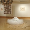 BFA Senior Exhibit