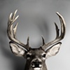 Deer Hunting Series