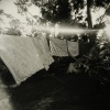 Film Case
