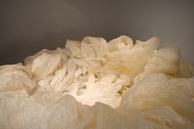 Nest Space, Study 1