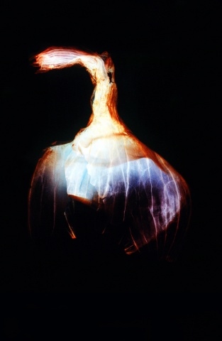 Shallot Skin