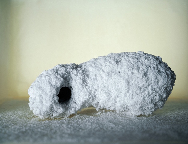 Salt Cocoon