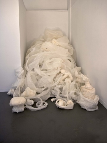 Accumulation Study 2