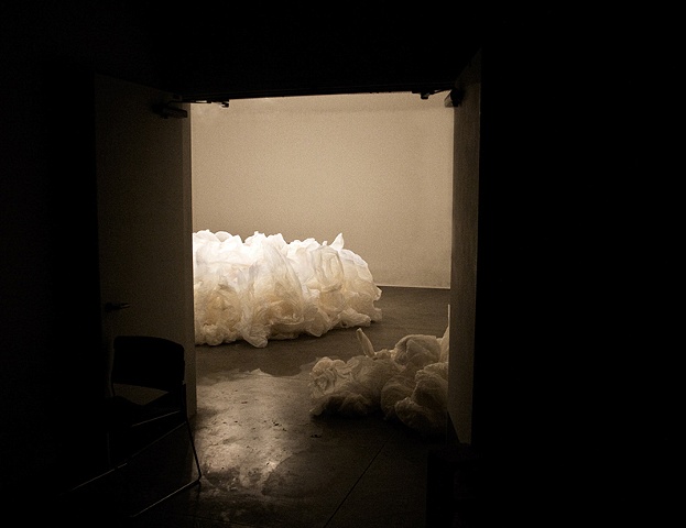 Nest Space, Study 1