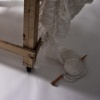 from the series PRESENCE
