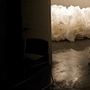 Nest Space, Study 1