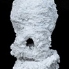 Salt Nest 6