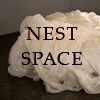Nest Space