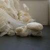 Accumulation Study 1