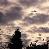 Mourning Clouds