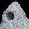 Salt Nest 5