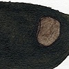 Untitled (#2)