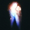Human Tooth
