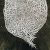 Untitled (#13)