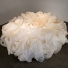 Nest Space, Study 1