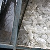 Glacial Cocoon (detail from exterior)