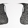 Home Bodies 1 and 2